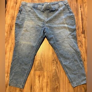 Terra and Sky 4x jeggings NWOT